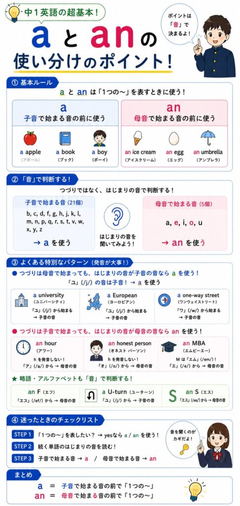 aとanの使い分けルールを、色分けと具体例を使ってまとめた縦長の図解。上部では「a は子音で始まる音の前」「an は母音で始まる音の前」という基本ルールを、apple・book・umbrella などのイラスト付きで説明している。中央では、「つづりではなく音で判断する」ことを強調し、耳のアイコンとともに子音・母音の一覧を掲載。さらに、「a university」「a European」のように、母音字で始まっていても「ユ」(/j/)の子音の音で始まる単語には a を使う例や、「an hour」「an honest person」のように h を発音しないため an を使う例を比較して解説している。下部では、アルファベットや略語でも音で判断することを示し、「an F」「a U-turn」「an S」などの例を掲載。最後に、「子音の音なら a、母音の音なら an」というポイントをまとめている。