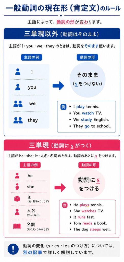 一般動詞の現在形(肯定文)のルールをまとめた図解。三単現以外(I・you・we・they)は動詞をそのまま使い、三単現(he・she・it・人名・名詞)は動詞にsを付けることを、play・watch・studyなどの例文でわかりやすく説明している。